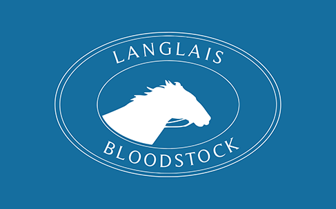 Création du site web de Langlais Bloodstock Nantes | Kagency