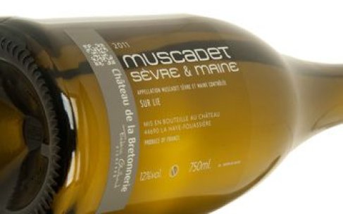 Muscadet Frédéric Guilbaud |la-sebiniere.jpg