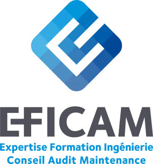 Logo EFICAM